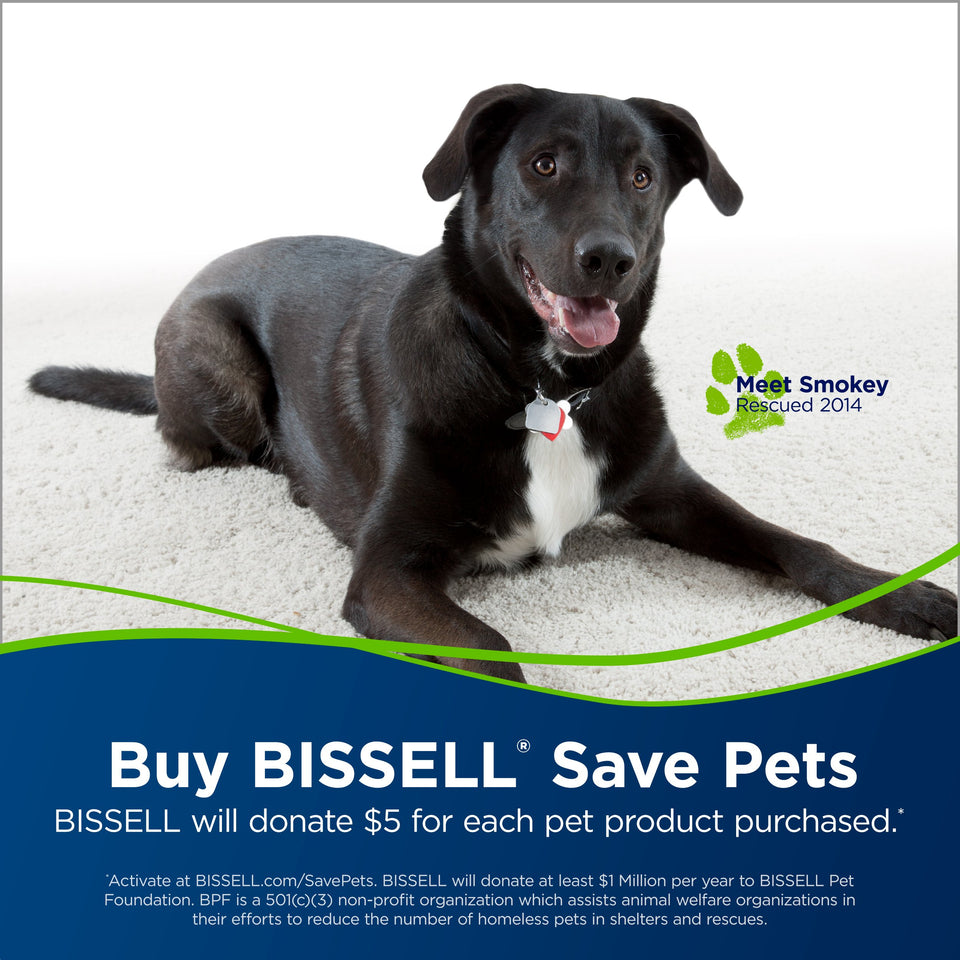 BISSELL PowerLifter Pet Rewind with Swivel Bagless Upright Vacuum, 2259