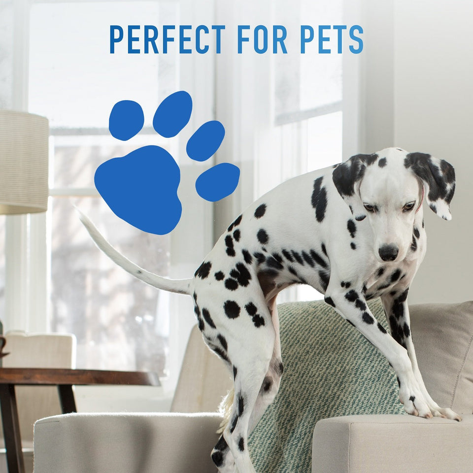 Hoover Power Dash Pet Carpet Cleaner, FH50700