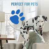 Hoover Power Dash Pet Carpet Cleaner, FH50700