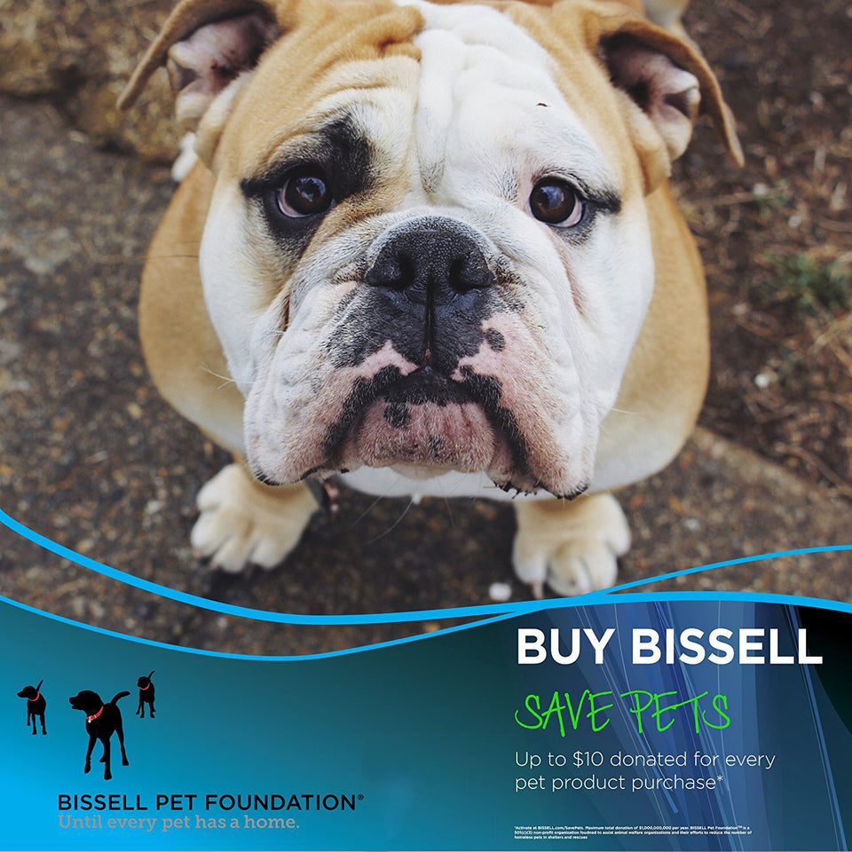 BISSELL SpotClean ProHeat Pet Portable Carpet Cleaner, 6119W